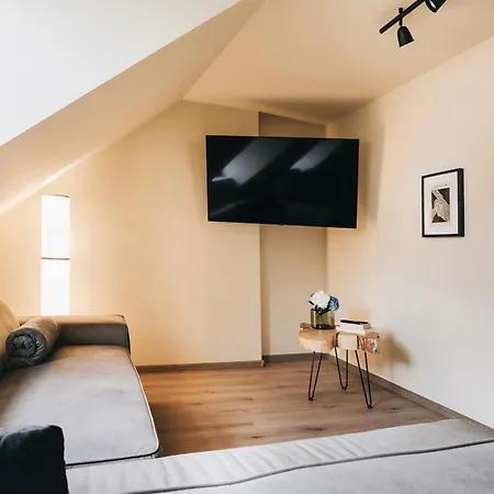 Idyllisch Zentral - Grosses Mit Historischem Flair Und Bergpanorama Daire